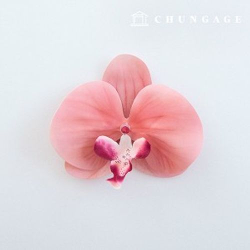 º¸ÀÚ±â Æ÷Àå Á¶È ²ÉÀå½Ä 04