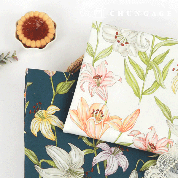 ģȯ°æ Ç×±ÕÇ׿°¿ø´Ü E-DTP ¸é20¼ö ·Î¸Çƽ¸±¸® 2Á¾