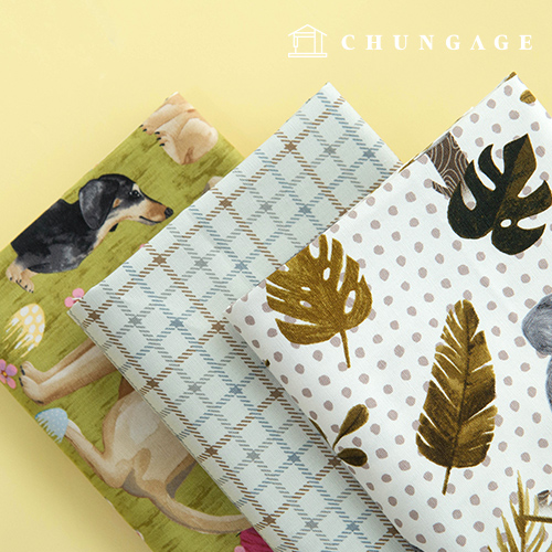 ¸é ¿Á½ºÆ÷µå ¿ø´Ü 20¼ö õ ¾Ö´Ï¸ÖÆÄÅ© ±×·¹ÀÌ °¾ÆÁö