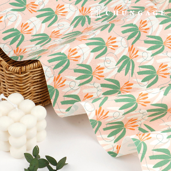 ¿Á½ºÆ÷µå¿ø´Ü ¸é 20¼ö ģȯ°æ DTP ´ëÆø Æ®·ÎÇȽºÇ÷η² ÇÎÅ©