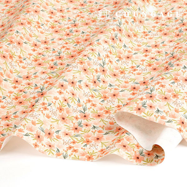 ¿Á½ºÆ÷µå¿ø´Ü ¸é 20¼ö ģȯ°æ DTP ´ëÆø ¹öºíÇöó¿ö MOXYS1535