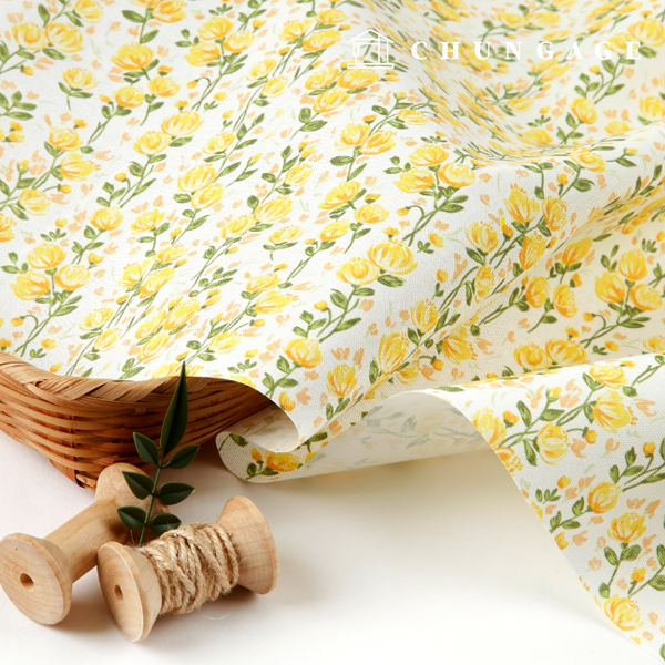 ¿Á½ºÆ÷µå¿ø´Ü ¸é 20¼ö ģȯ°æ DTP ´ëÆø ¿»·Î¿ìÆÊ MOXYS1463