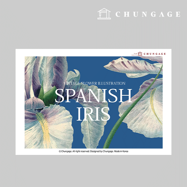 ÀÇ·ù Àü»çÁö 049 ¸®Æû ¿Àü»çÁö ¿Àü»ç½ºÆ¼Ä¿ º¸Å¸´Ð 3