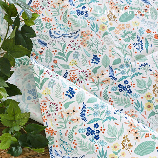 ¹æ¼öõ ³ª¹Ì¾ß²ÉÁý Æú¸® ¹æ¼ö¿ø´Ü ´ëÆø Çöó¿ö 249