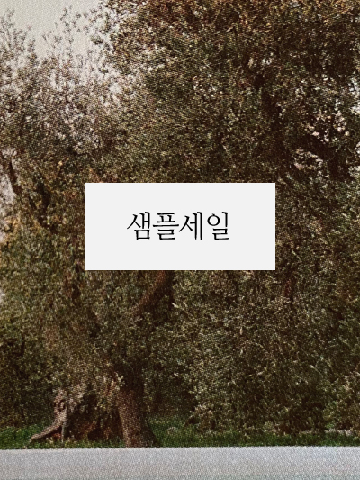 ���̹���