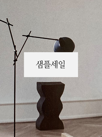 ���̹���