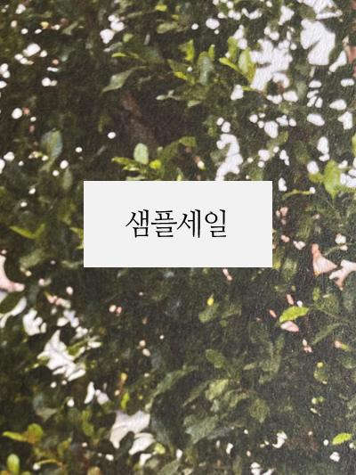 ���̹���