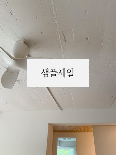 ���̹���