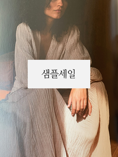 ���̹���