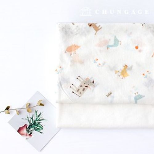 ������ ���̸������ �̱� �ڰ��� �������� 2��