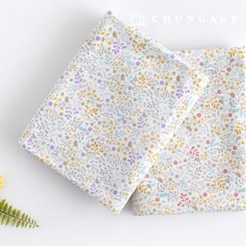 ������ ���̸������ �̱� �ڰ��� ���� �����ö�� 2��