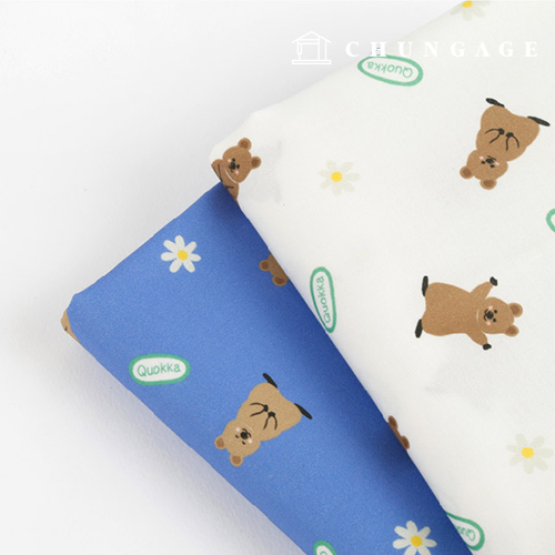 ģȯ�� �ױ��׿����� E-DTP ��20�� ������ī 2��