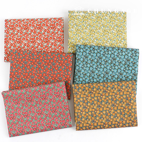 ģȯ�� �ױ��׿����� E-DTP ��20�� ���̺�ī�Ḯ�� 6��