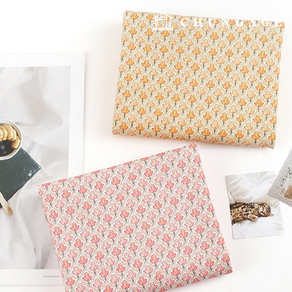 ģȯ�� �ױ��׿����� E-DTP ��20�� ŷ���ö�� 2��