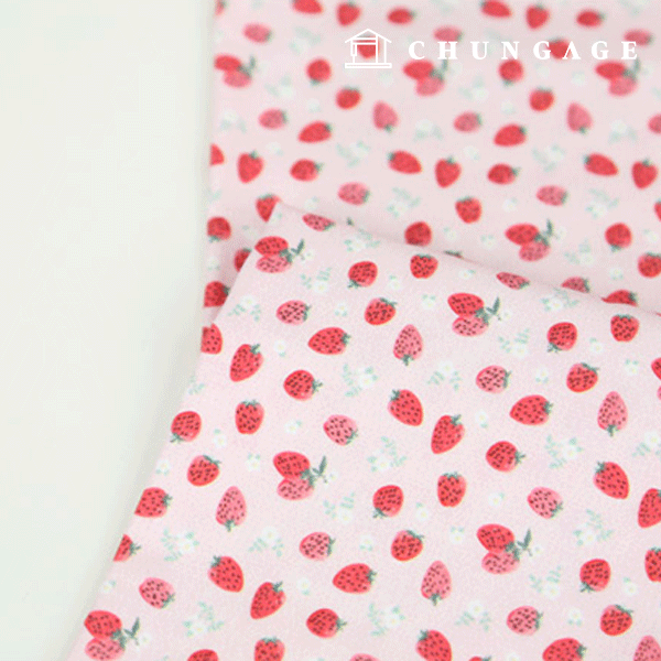 ģȯ�� �ױ��׿����� E-DTP ��20�� �̴� ����