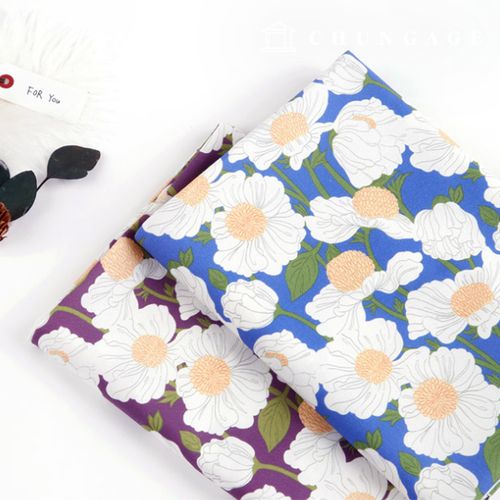 ģȯ�� �ױ��׿����� E-DTP �� 20�� �λ� 2��