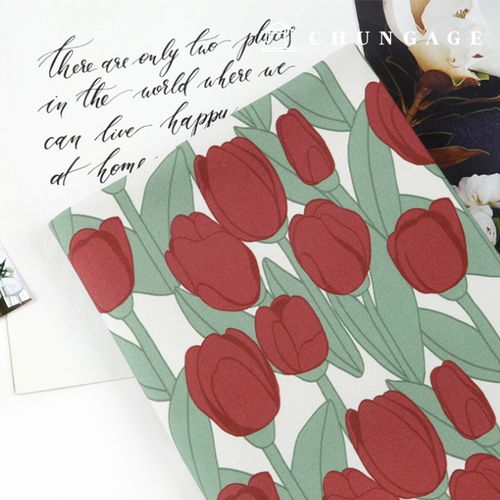 ģȯ�� �ױ��׿����� E-DTP �� 20�� ����� ƫ��