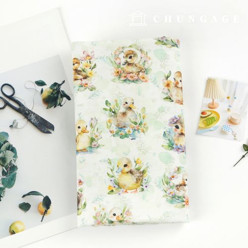 ģȯ ױ׿ E-DTP  20 ̺