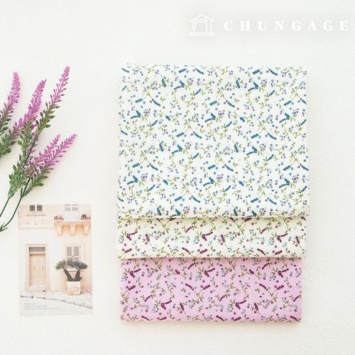 ����� �ɹ��� �ö�� õ 20�� ���� ���δ�ī 3��