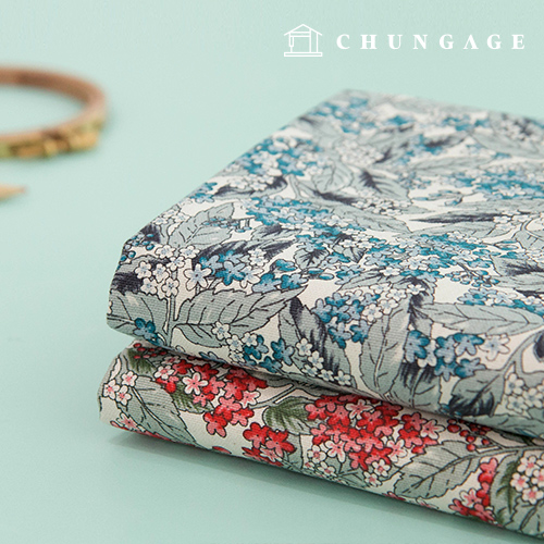 �� ���� 20�� �������� ������