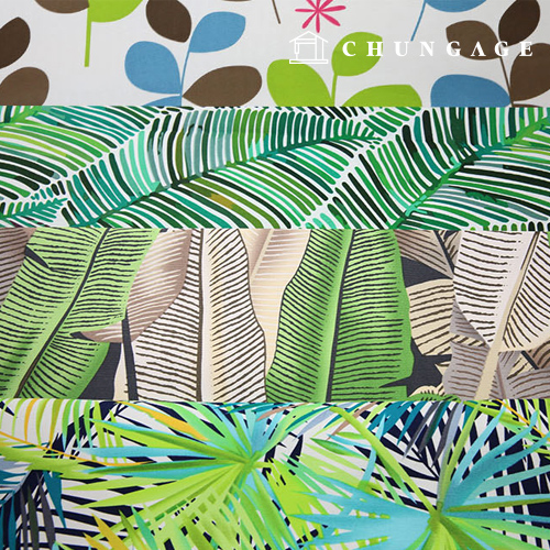 ���� Ư�� ĵ���� ��Ϲ����� 4��