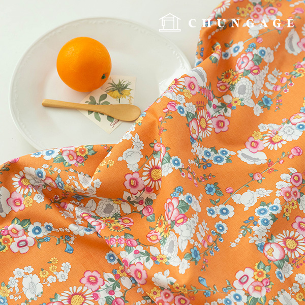 ����������� �� 20�� �ɹ��̿��� �ö��õ ��������