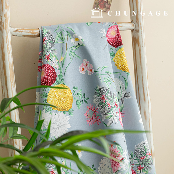 ����������� �� 20�� �ɹ���õ �·�