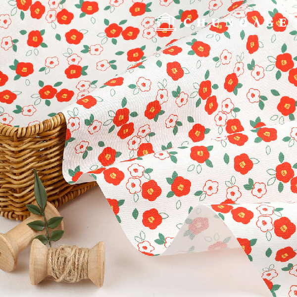 ����������� �� 20�� ģȯ�� DTP ���� �����������