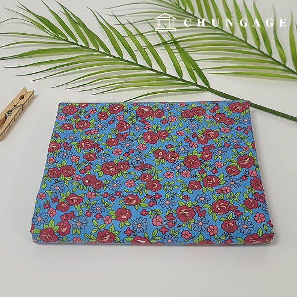 ��ȥ����� �ö�� �ɹ��� õ �ȳ� ����