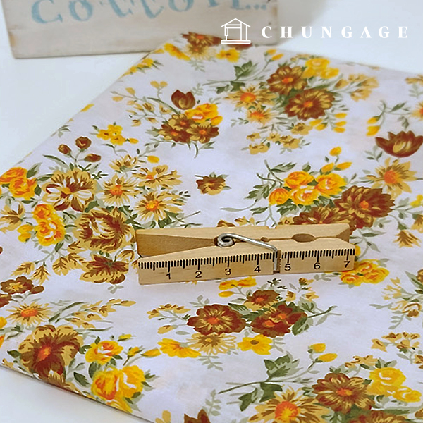 ��ȥ����� �ö�� �ɹ��� õ �鱹ȭ ����