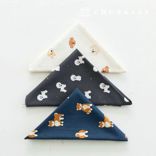 ������Ű�� ������ ���� ���������� ������ ���� ����õ 3�� 121