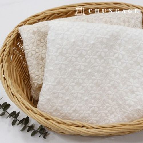 ���̽����� �ڼ� ���̽�õ �����緯�� �ܲ� �� 2��