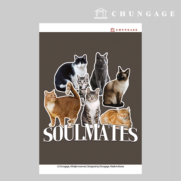 �Ƿ� ������ 039 ���� �������� �����罺ƼĿ ��ø��� 2