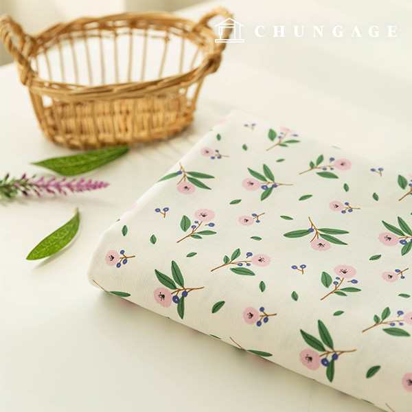 �� ����������� �ɹ��� �ö�� õ DTP ���� �󺸶� OX-484