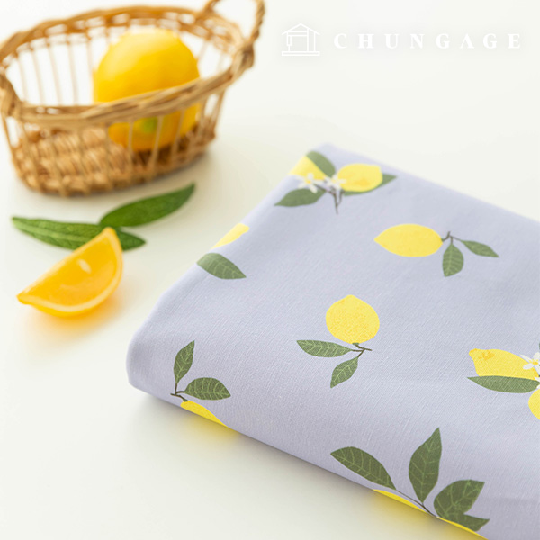 �� ����������� ���� õ DTP ���� ������̵� OX-486