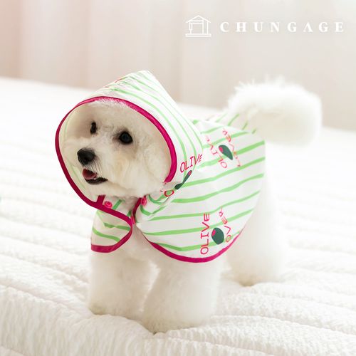 ���õ DTP ������� ���� ��Ʈ������ �ø��� ���� W124