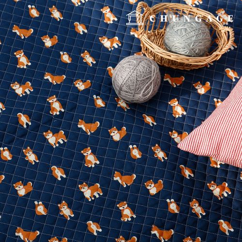 �������� �� ������ ���� õ 20�� �����鸮����