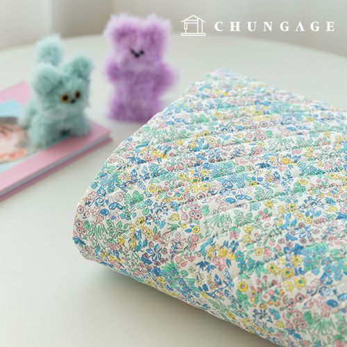 �������� �� �ɹ��� �ö�� õ 20�� �ö���