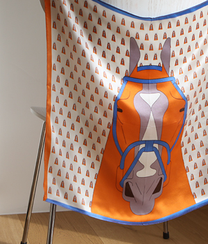 ���̹���